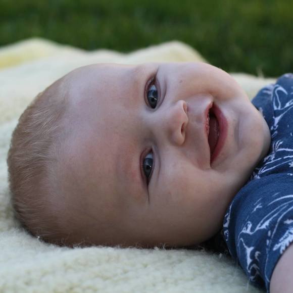 Meet your Posher, Shelby - Picture 1 of 1